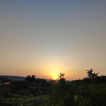 R3 - Guesthouse Travessa Da Arieira Aguda (Leiria) Екстериор снимка