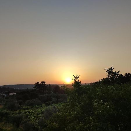 R3 - Guesthouse Travessa Da Arieira Aguda (Leiria) Екстериор снимка