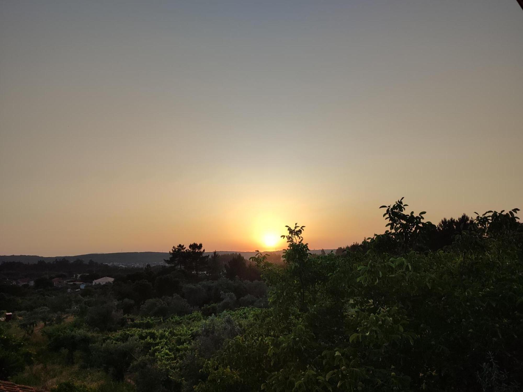 R3 - Guesthouse Travessa Da Arieira Aguda (Leiria) Екстериор снимка